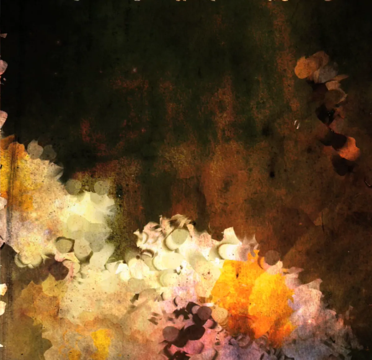 Generative Art